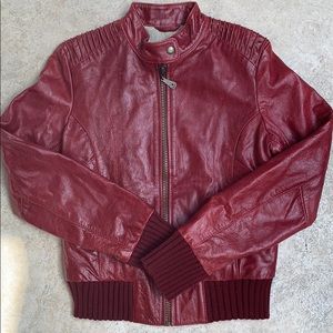 DOMA  NEW Biker / Bommer style Leather Jacket